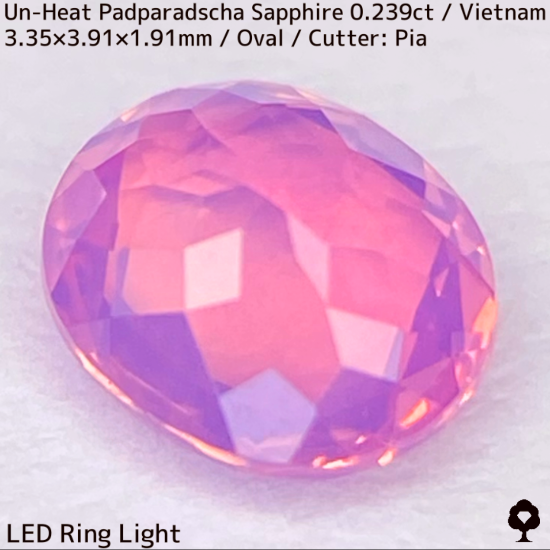 Un-Heat Padparadscha Sapphire 0.239ct / Vietnam