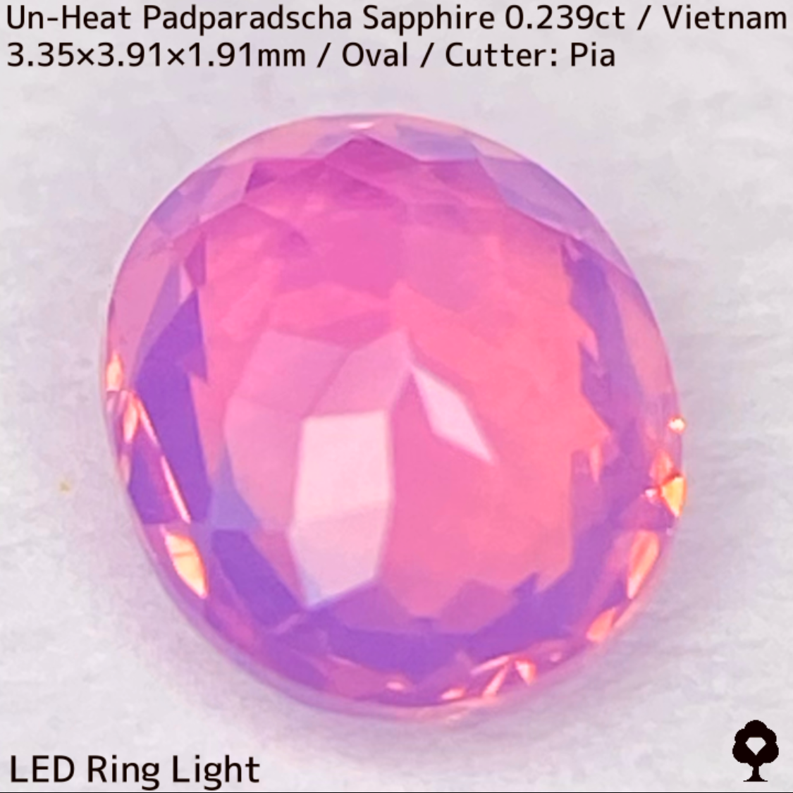 Un-Heat Padparadscha Sapphire 0.239ct / Vietnam