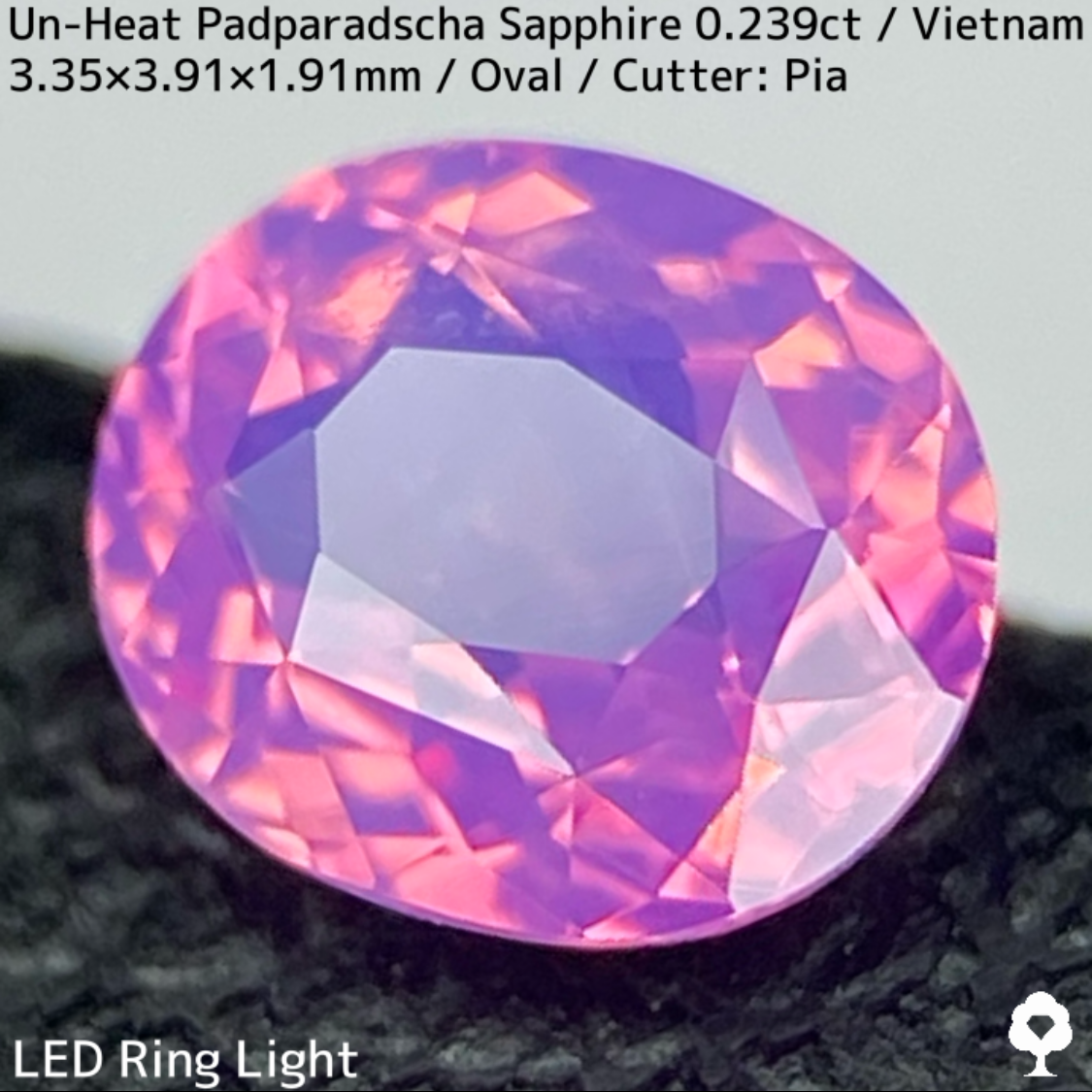 Un-Heat Padparadscha Sapphire 0.239ct / Vietnam
