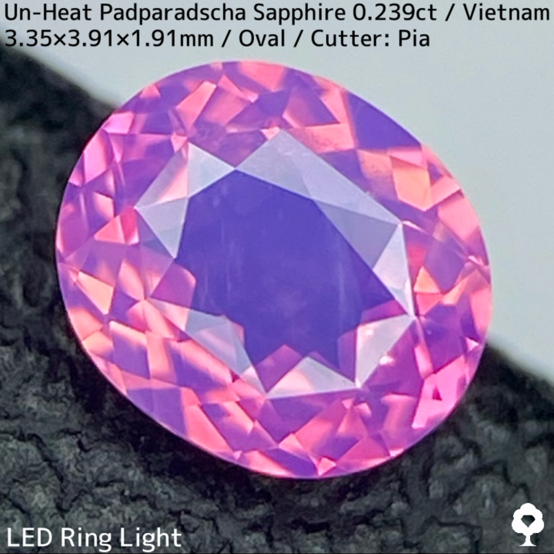 Un-Heat Padparadscha Sapphire 0.239ct / Vietnam