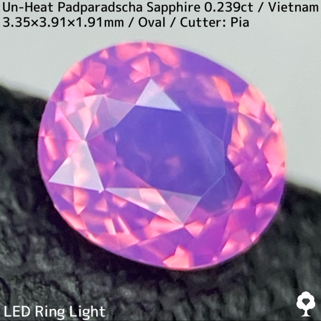 Un-Heat Padparadscha Sapphire 0.239ct / Vietnam
