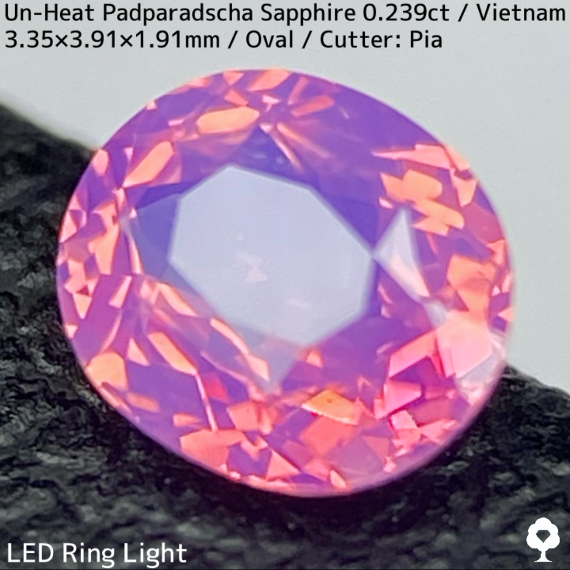 Un-Heat Padparadscha Sapphire 0.239ct / Vietnam