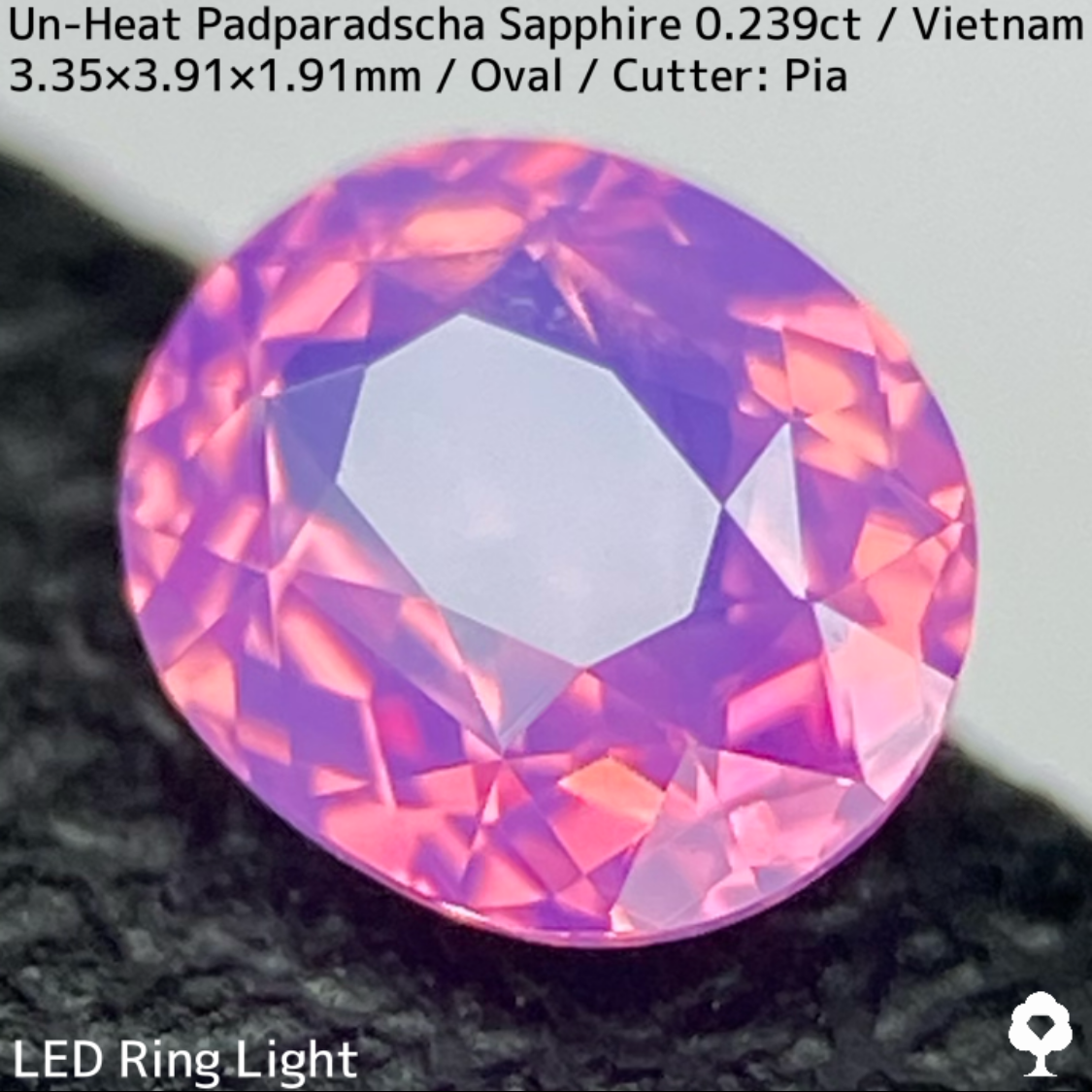 Un-Heat Padparadscha Sapphire 0.239ct / Vietnam
