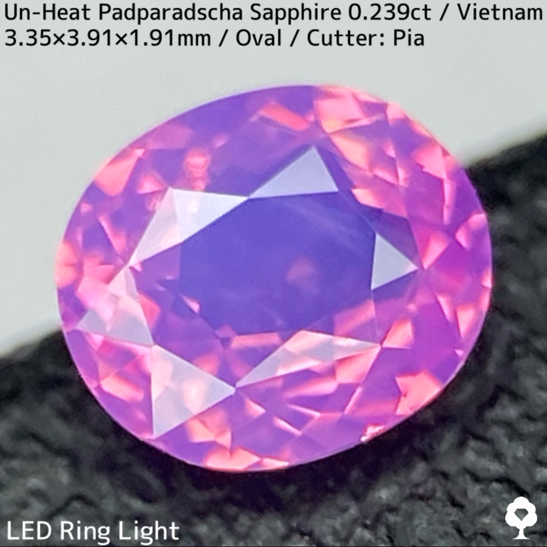 Un-Heat Padparadscha Sapphire 0.239ct / Vietnam