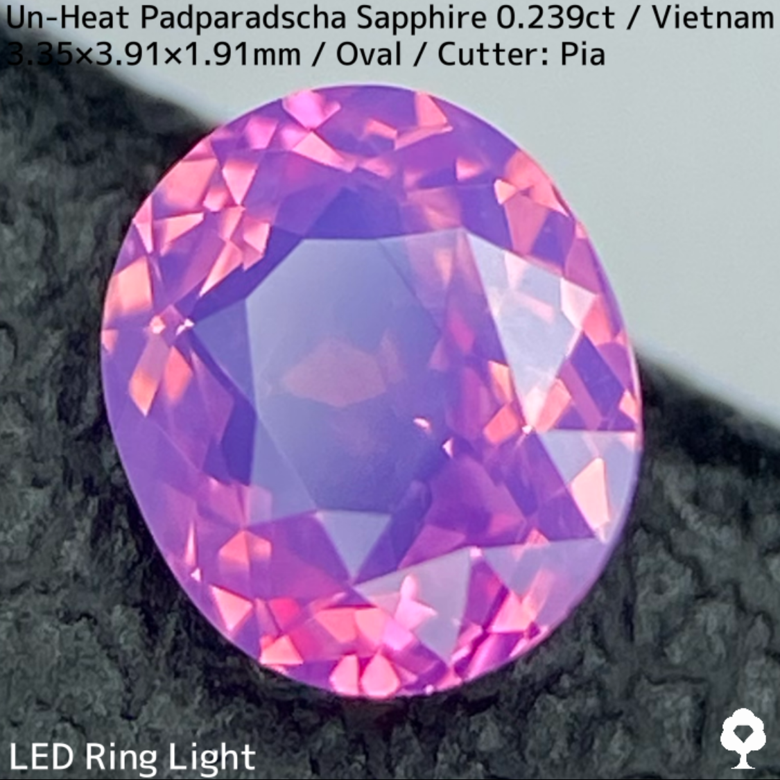 Un-Heat Padparadscha Sapphire 0.239ct / Vietnam
