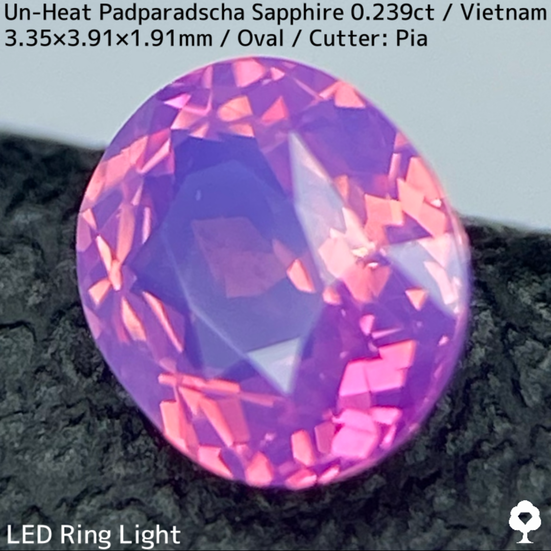 Un-Heat Padparadscha Sapphire 0.239ct / Vietnam