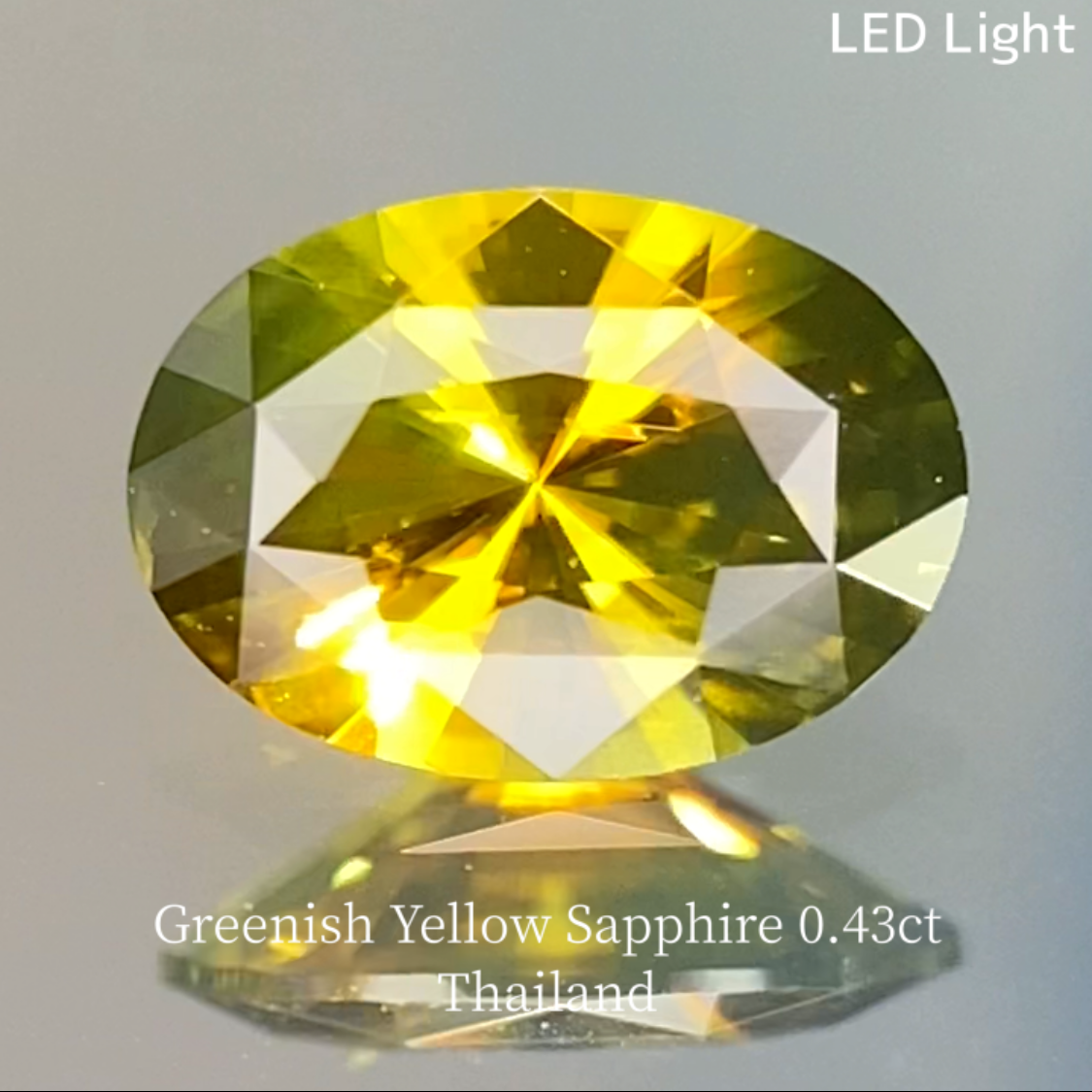 Yellow-Khaki Sapphire 0.441ct / Thailand