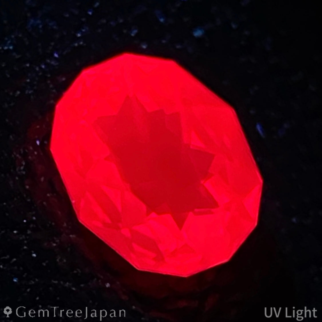 Ruby 0.221ct / Thailand