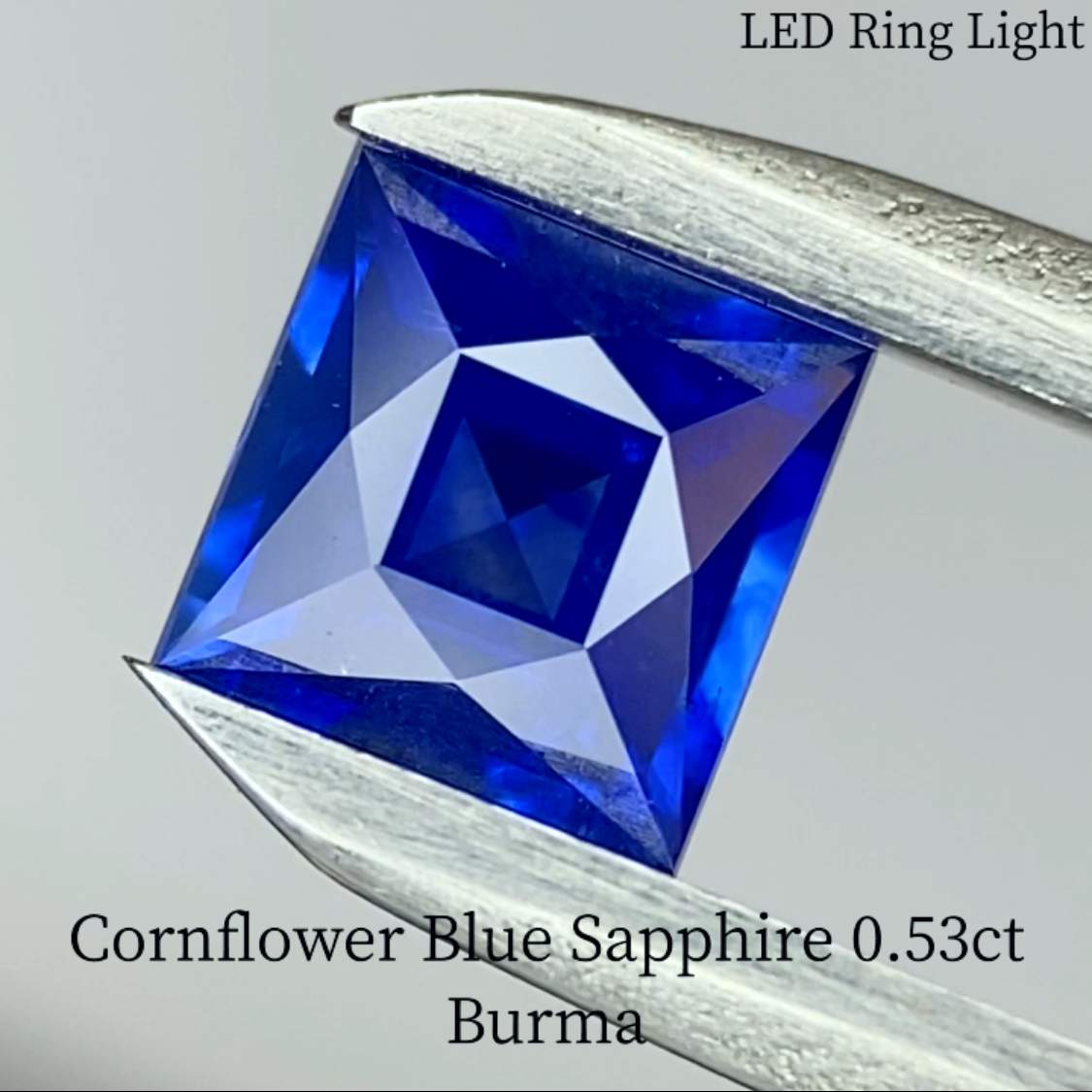 Cornflower Blue Sapphire 0.541ct / Burma