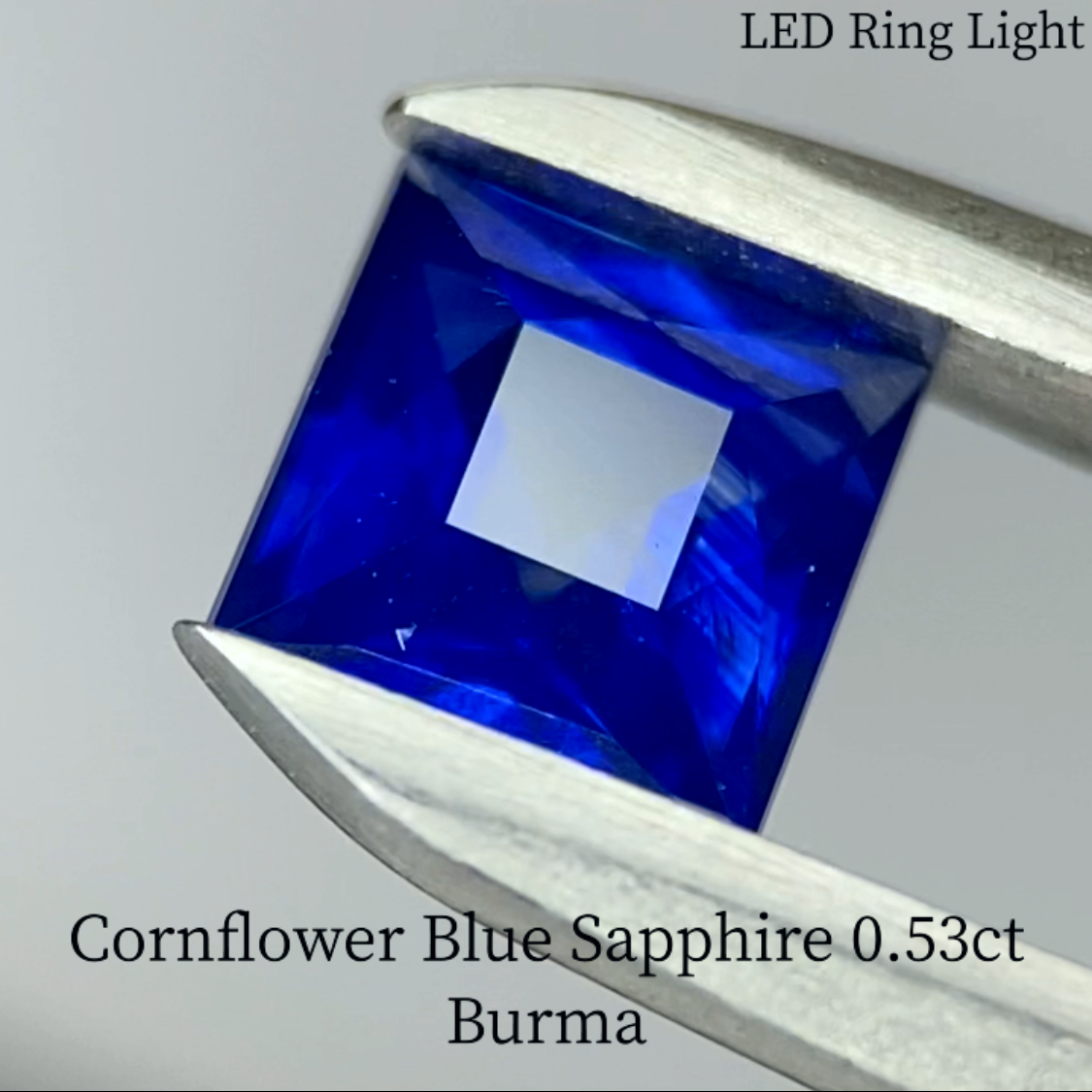 Cornflower Blue Sapphire 0.541ct / Burma