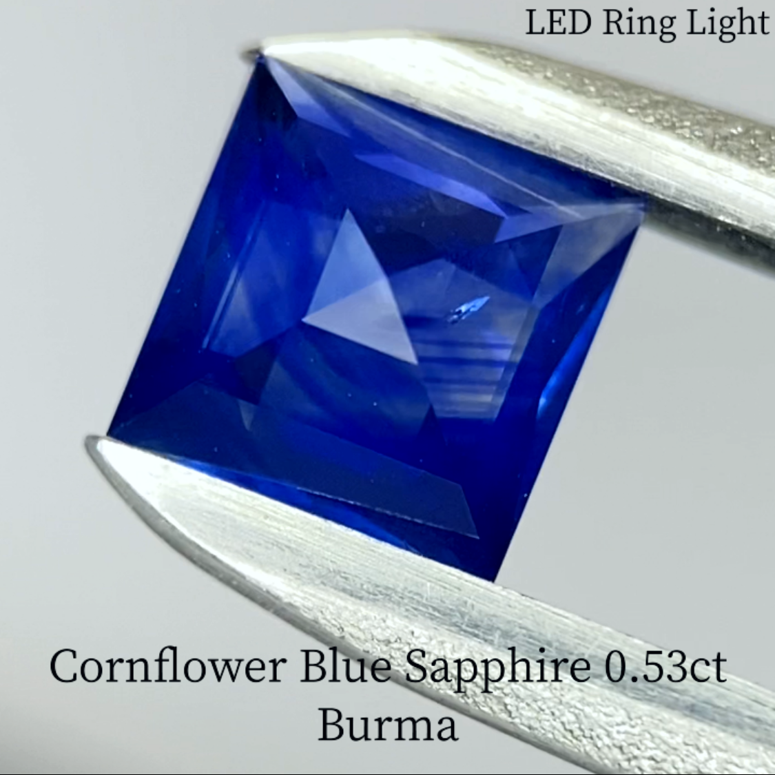 Cornflower Blue Sapphire 0.541ct / Burma