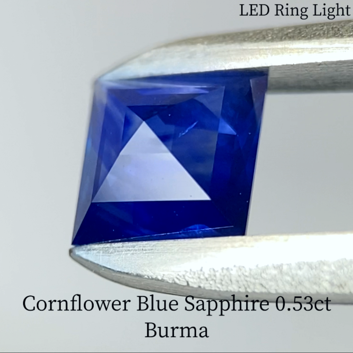 Cornflower Blue Sapphire 0.541ct / Burma