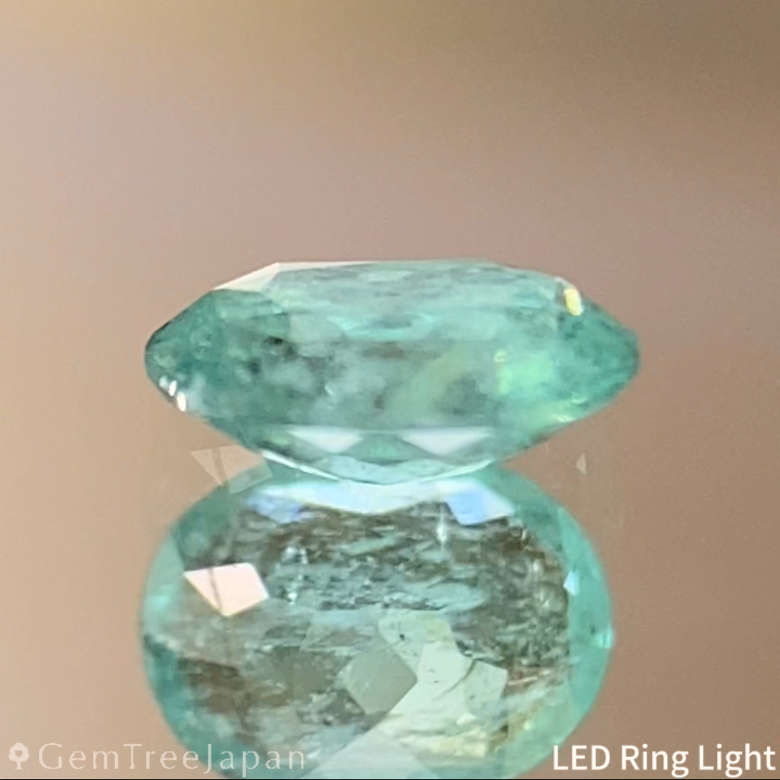 Paraiba Tourmaline 0.324ct / Brazil