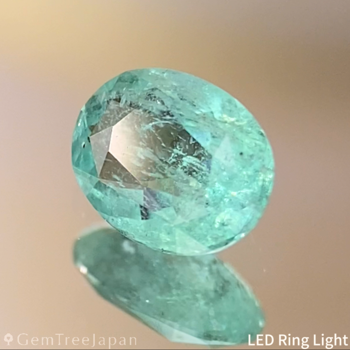 Paraiba Tourmaline 0.324ct / Brazil