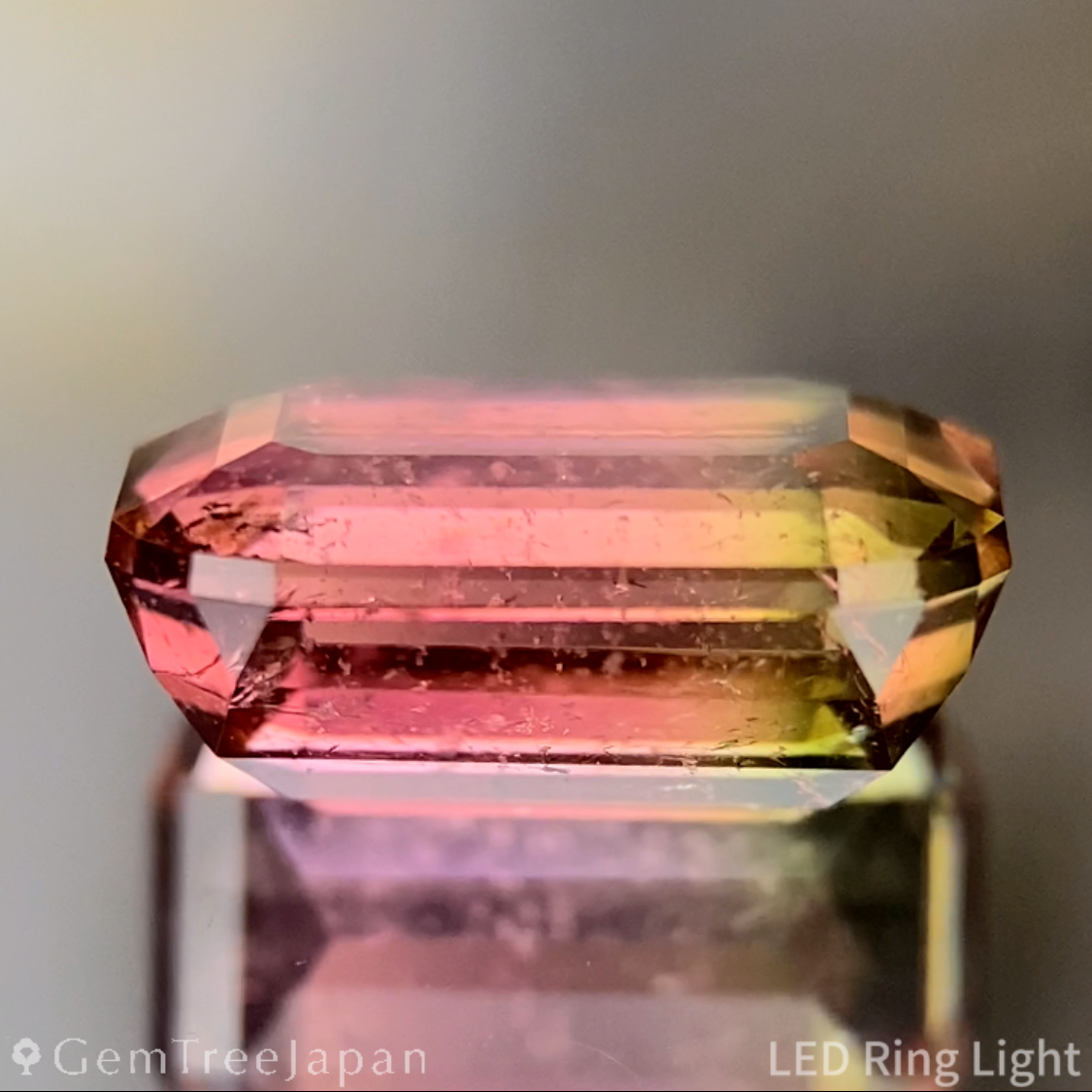 Bi-Color Tourmaline 2.618ct / Brazil