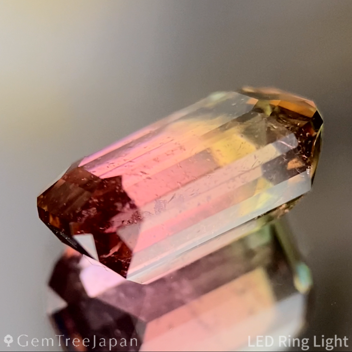 Bi-Color Tourmaline 2.618ct / Brazil