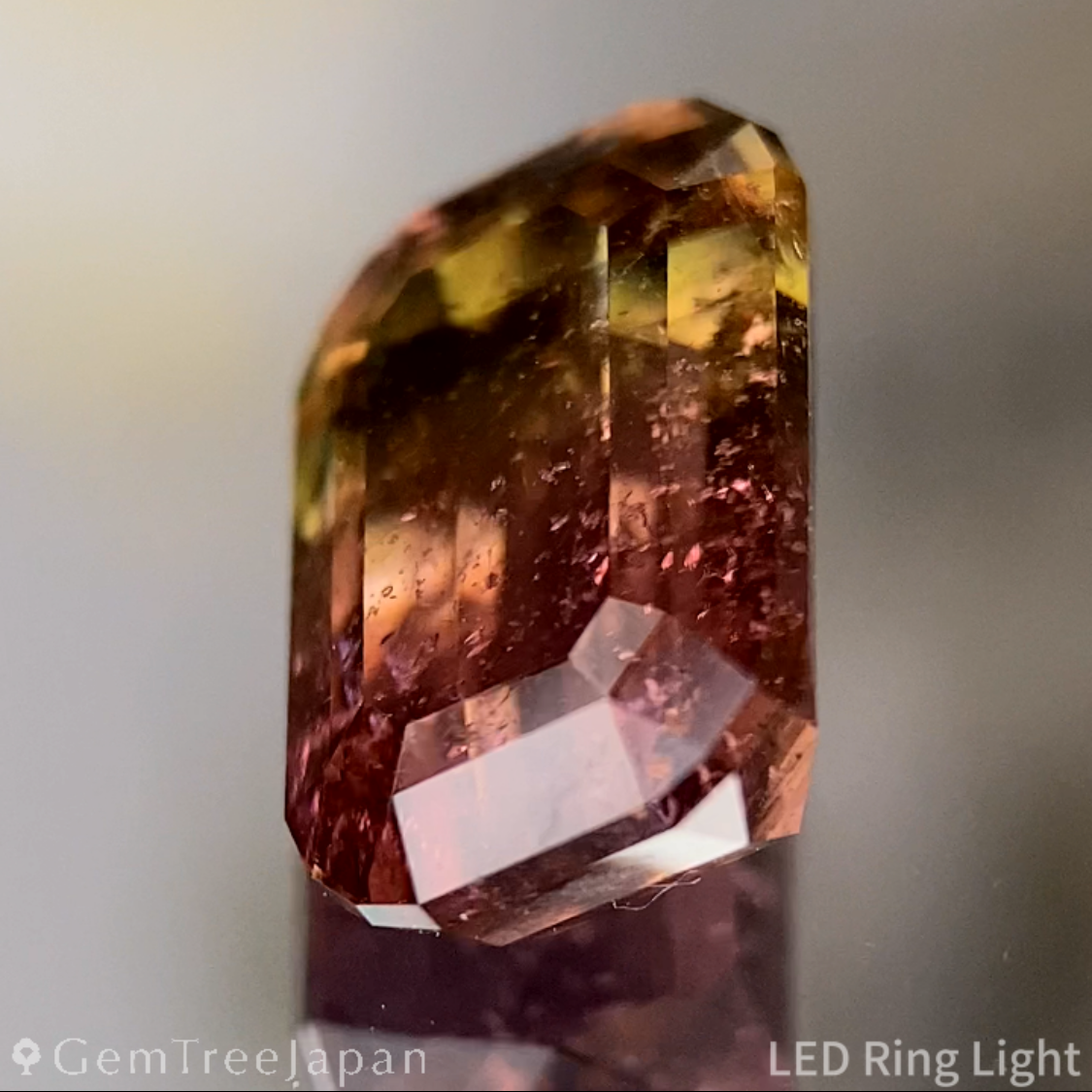 Bi-Color Tourmaline 2.618ct / Brazil