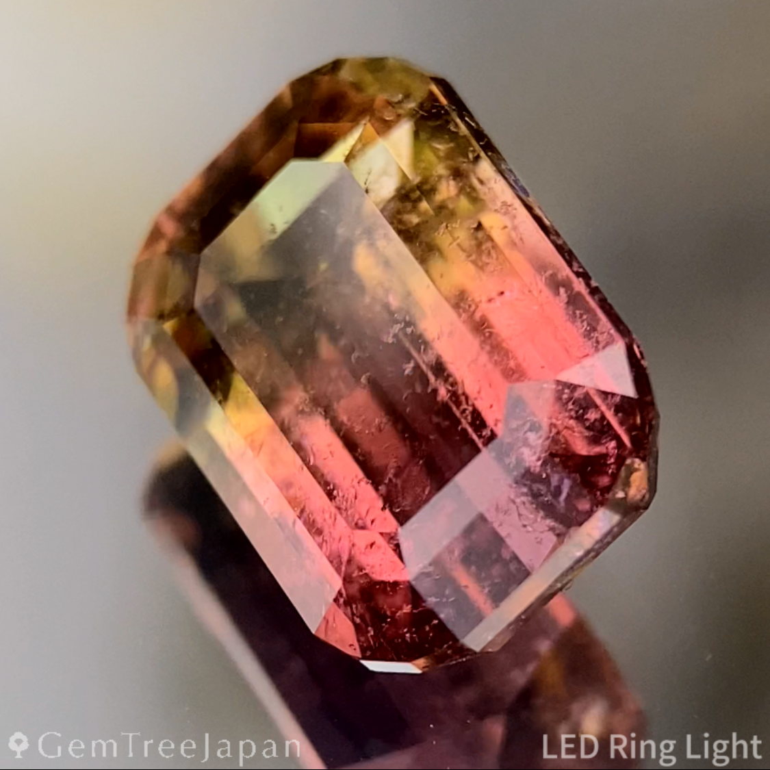 Bi-Color Tourmaline 2.618ct / Brazil