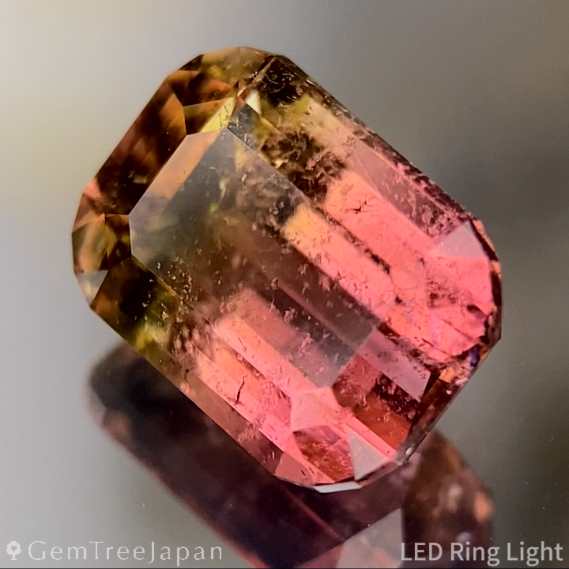 Bi-Color Tourmaline 2.618ct / Brazil