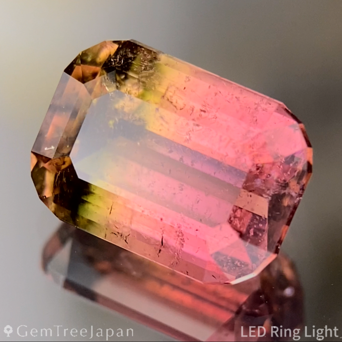 Bi-Color Tourmaline 2.618ct / Brazil