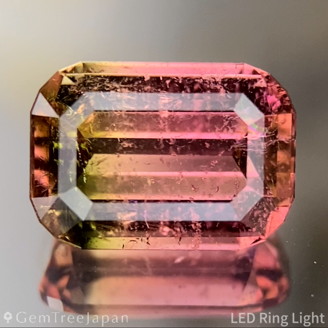 Bi-Color Tourmaline 2.618ct / Brazil