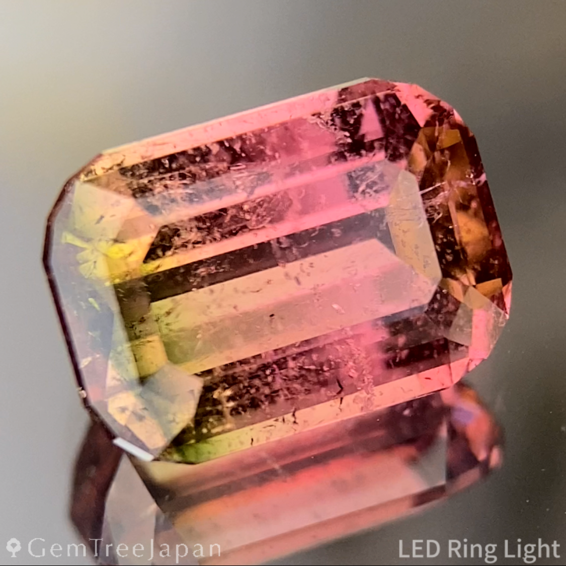 Bi-Color Tourmaline 2.618ct / Brazil