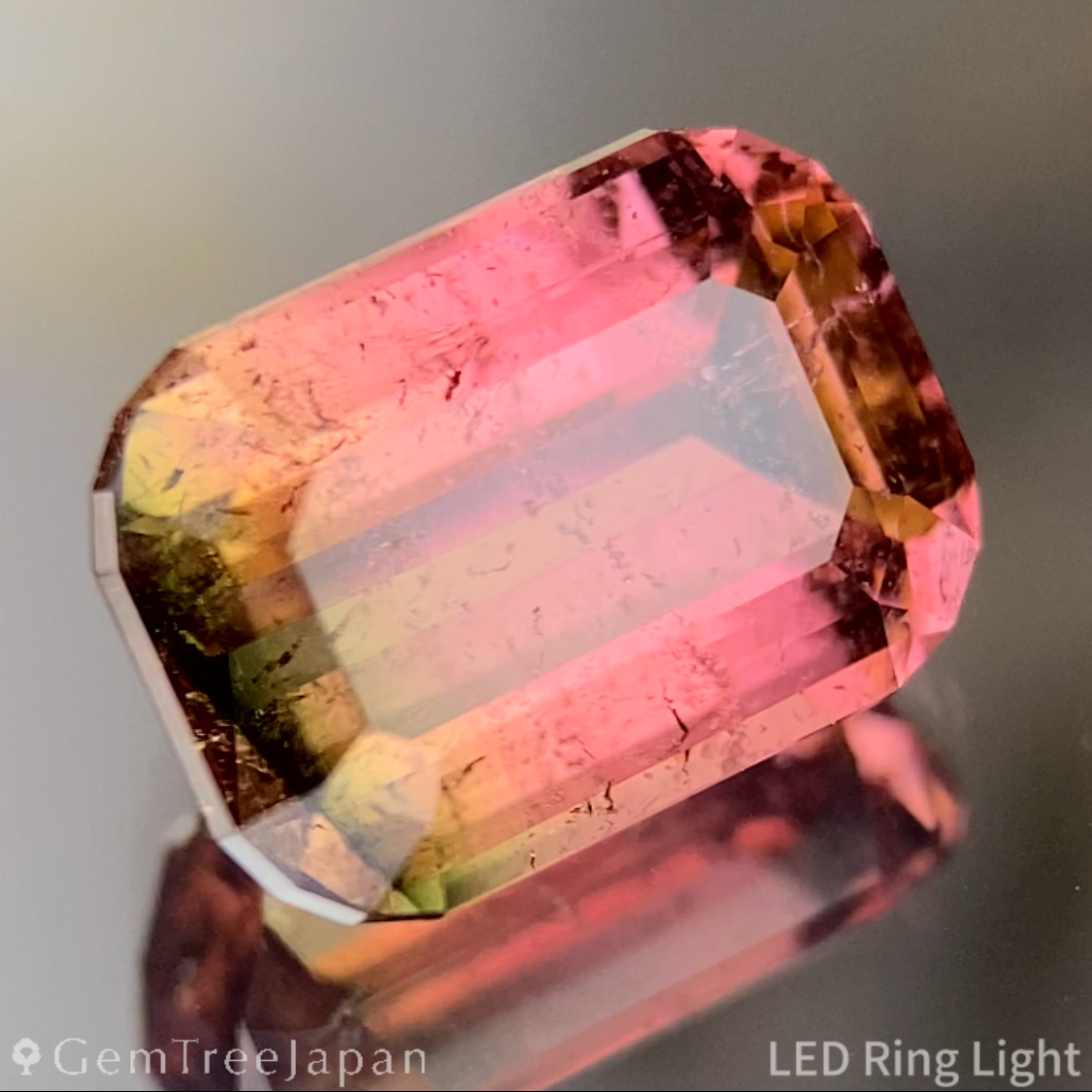 Bi-Color Tourmaline 2.618ct / Brazil