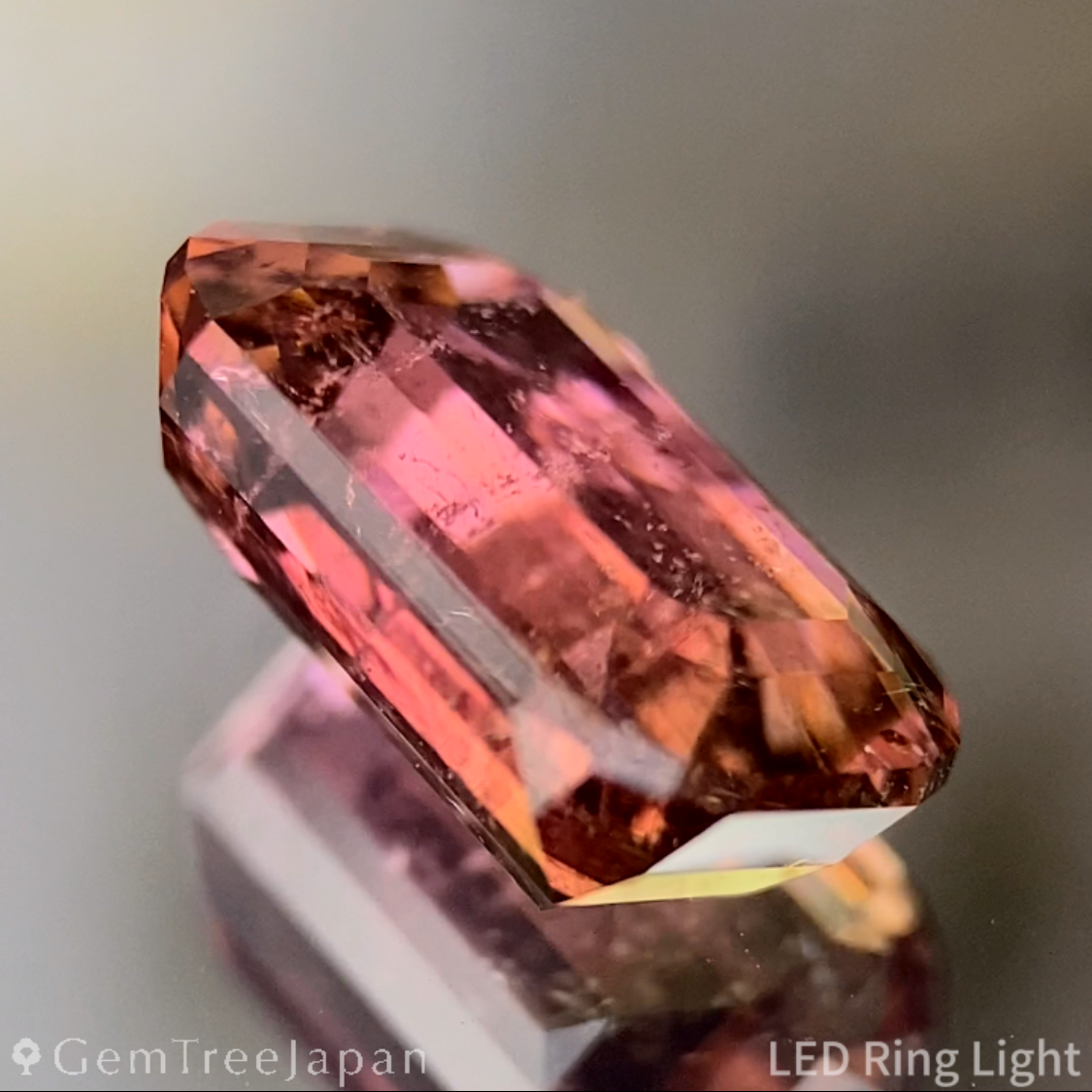 Bi-Color Tourmaline 2.618ct / Brazil