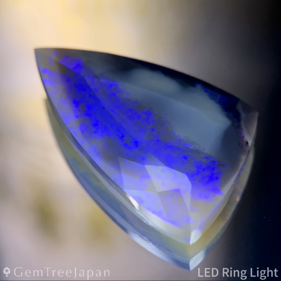 Australia Opal 7.692ct / Australia