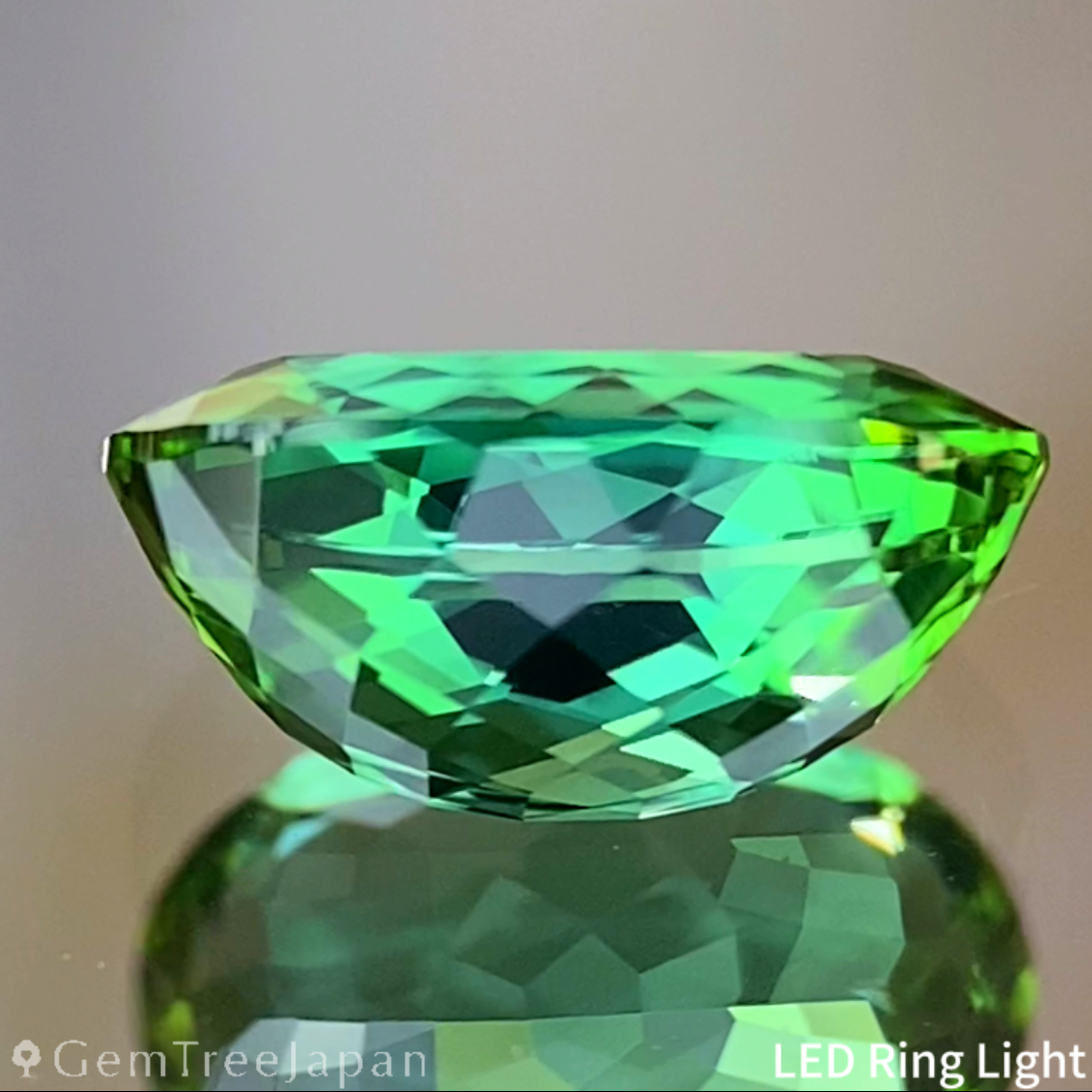 Bluish Green Tourmaline 1.015ct / Nigeria