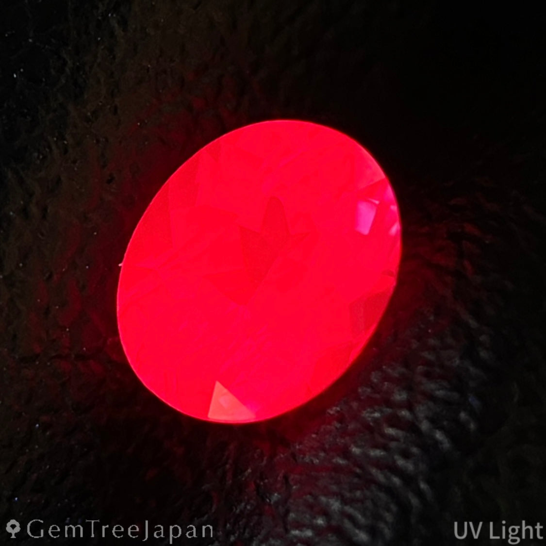 【One Price】Un-Heat Ruby 0.572ct / Madagascar