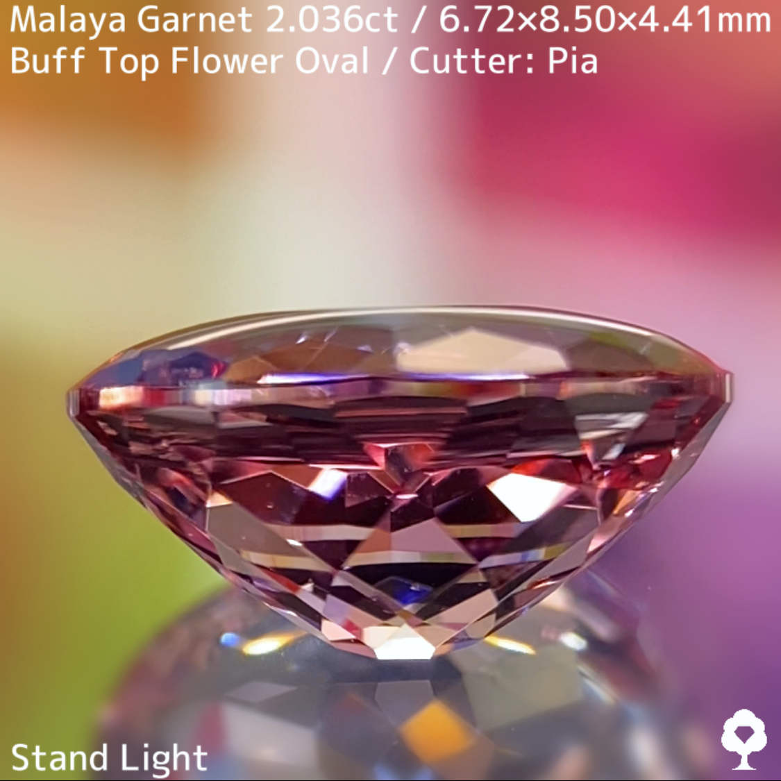 Malaya Garnet 2.036ct / Buff Top Flower Oval