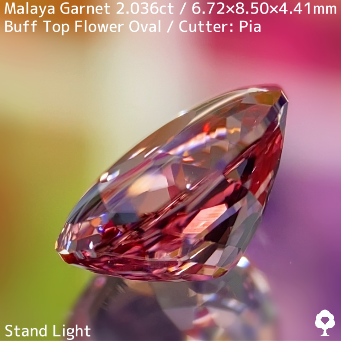 Malaya Garnet 2.036ct / Buff Top Flower Oval