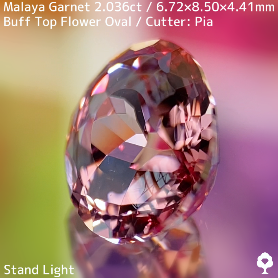 Malaya Garnet 2.036ct / Buff Top Flower Oval