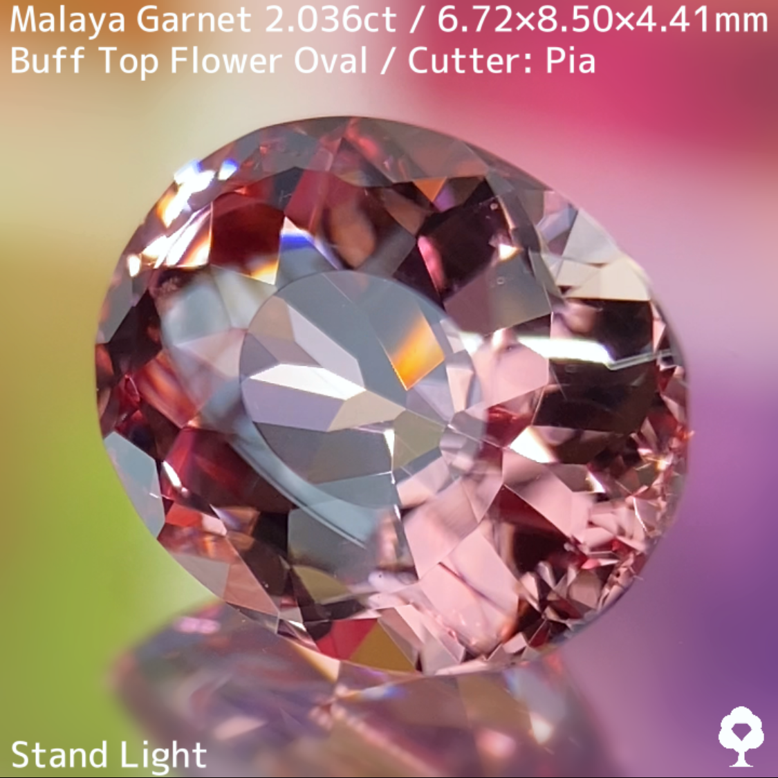 Malaya Garnet 2.036ct / Buff Top Flower Oval