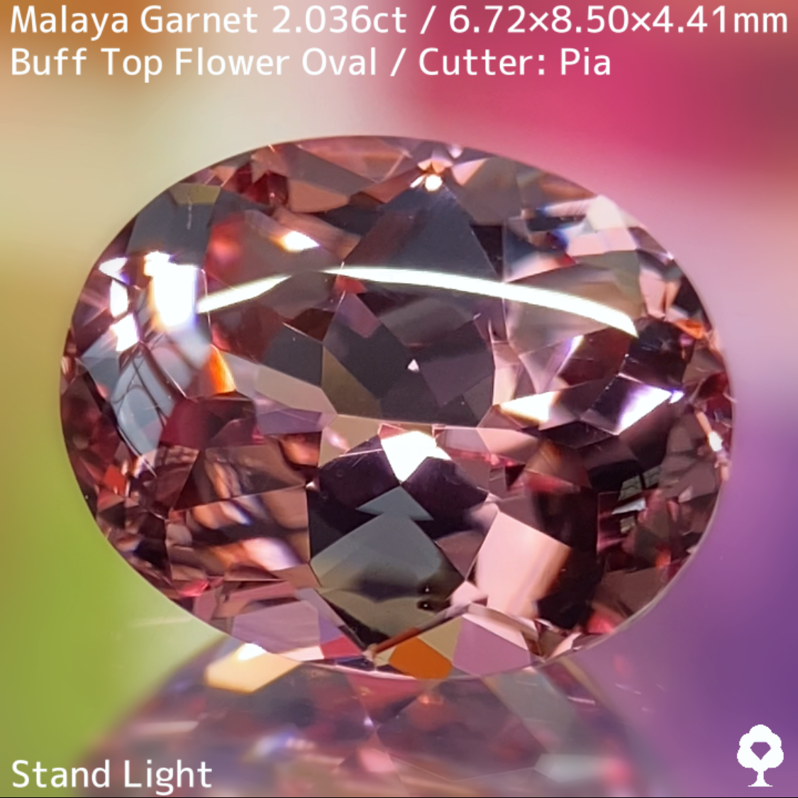Malaya Garnet 2.036ct / Buff Top Flower Oval