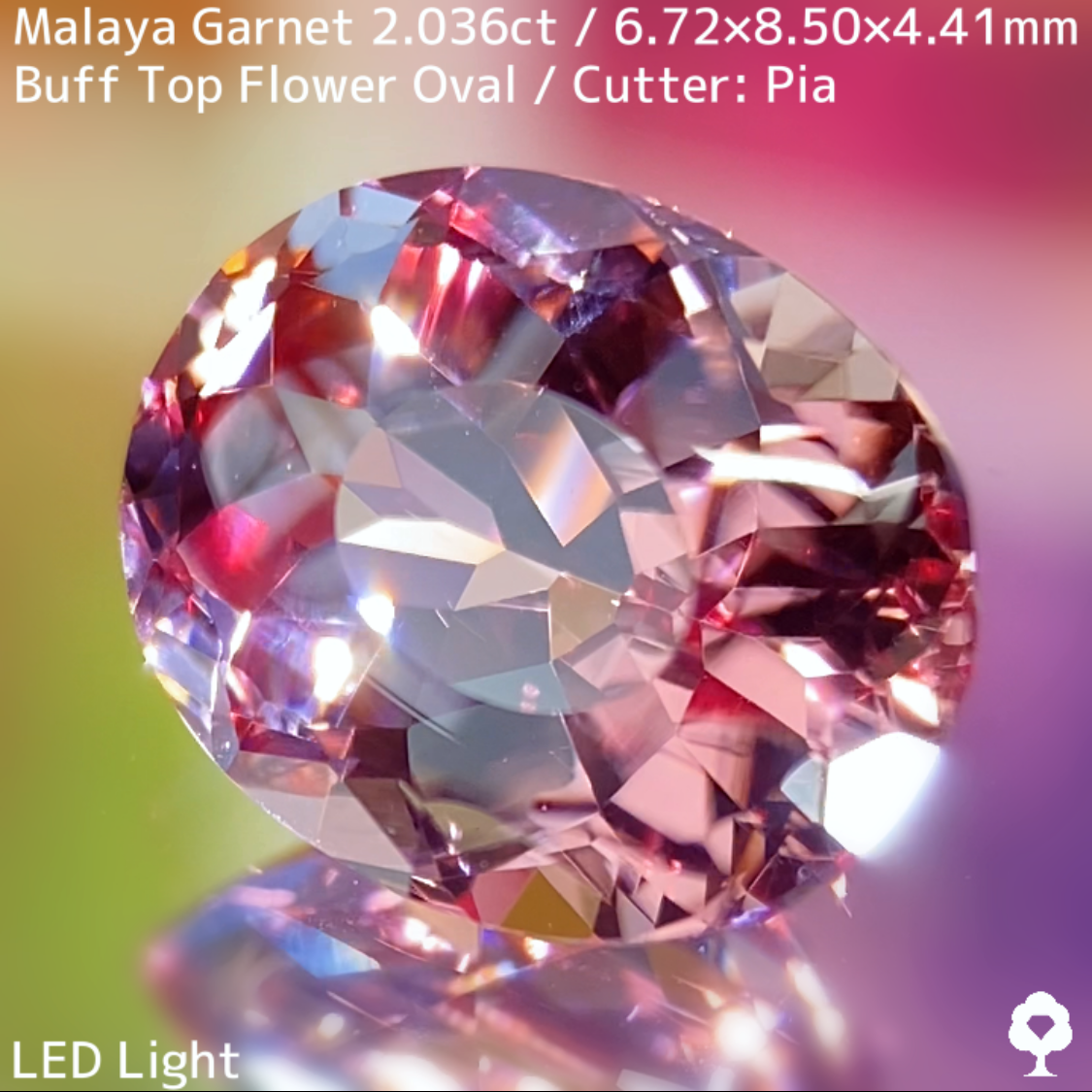 Malaya Garnet 2.036ct / Buff Top Flower Oval