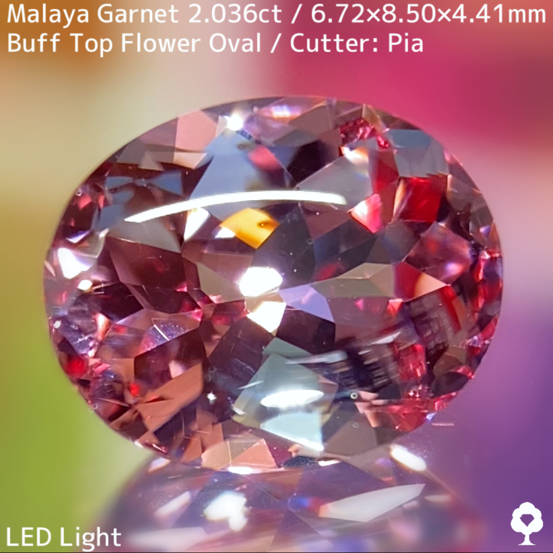 Malaya Garnet 2.036ct / Buff Top Flower Oval