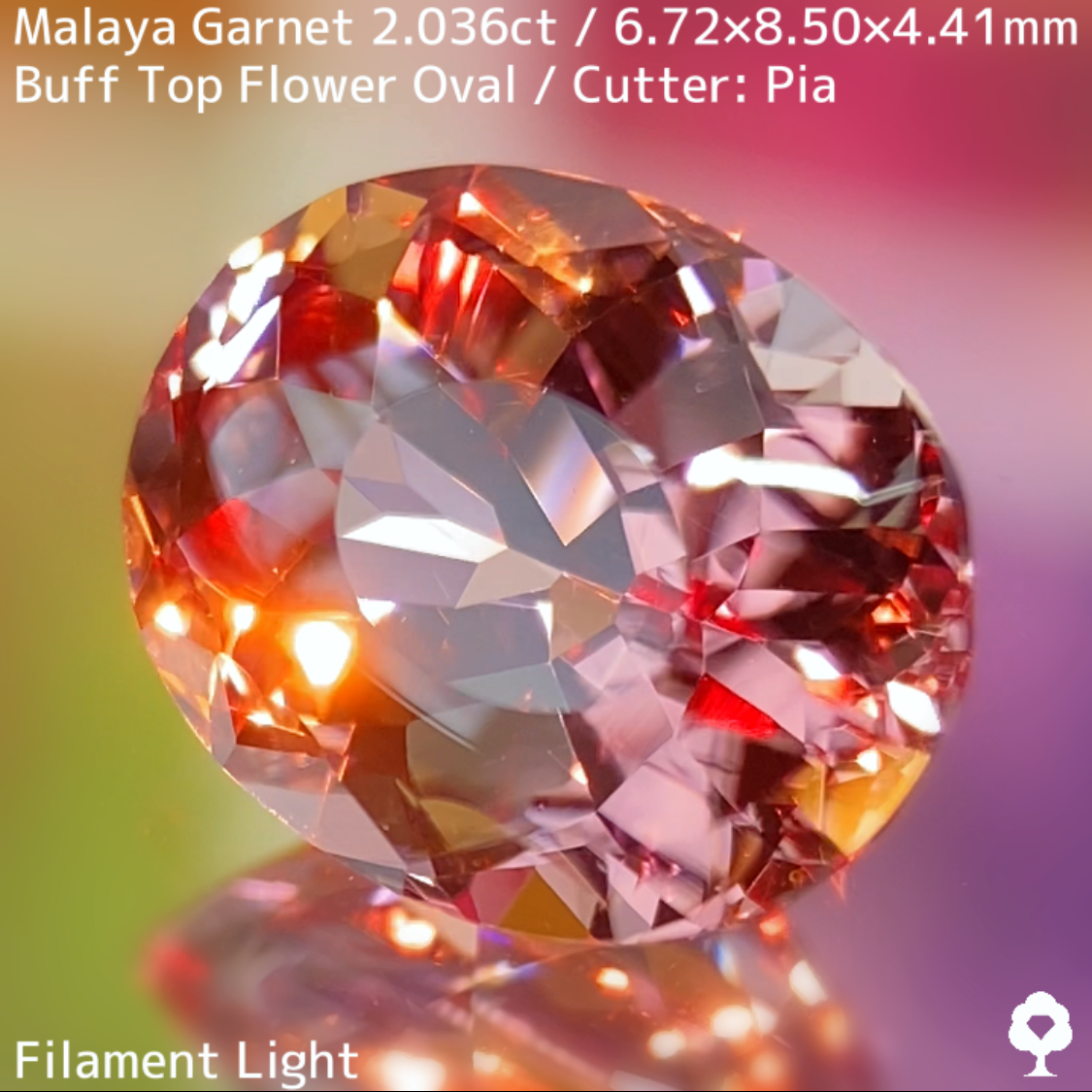 Malaya Garnet 2.036ct / Buff Top Flower Oval