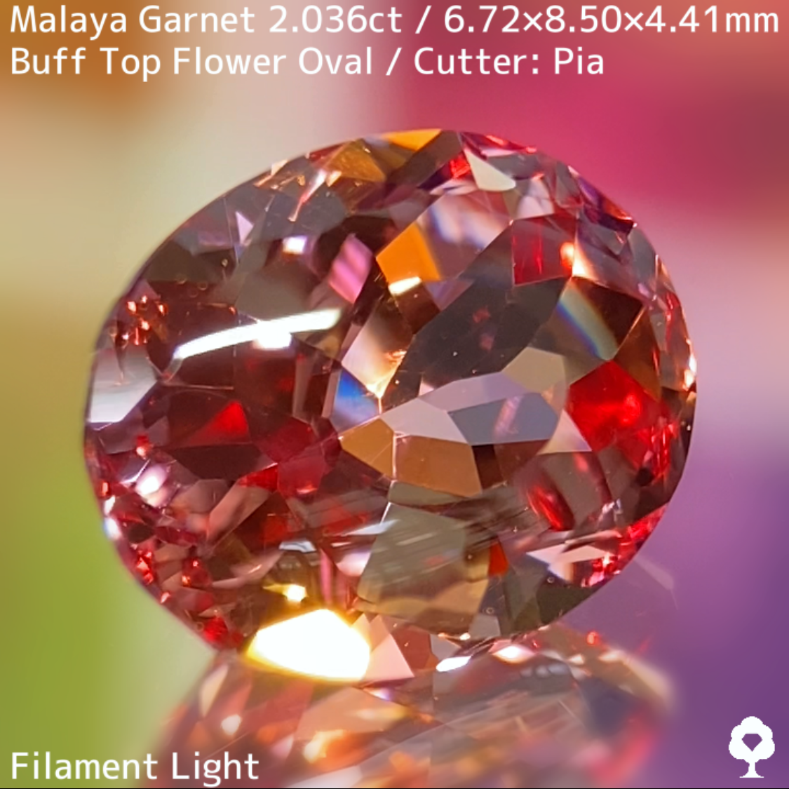 Malaya Garnet 2.036ct / Buff Top Flower Oval