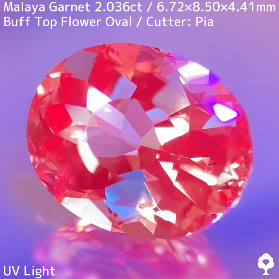 Malaya Garnet 2.036ct / Buff Top Flower Oval