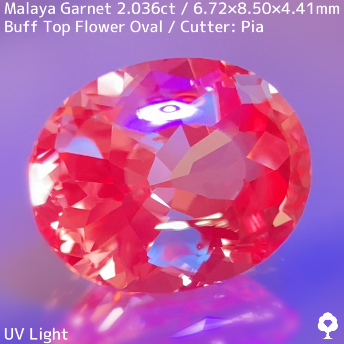 Malaya Garnet 2.036ct / Buff Top Flower Oval