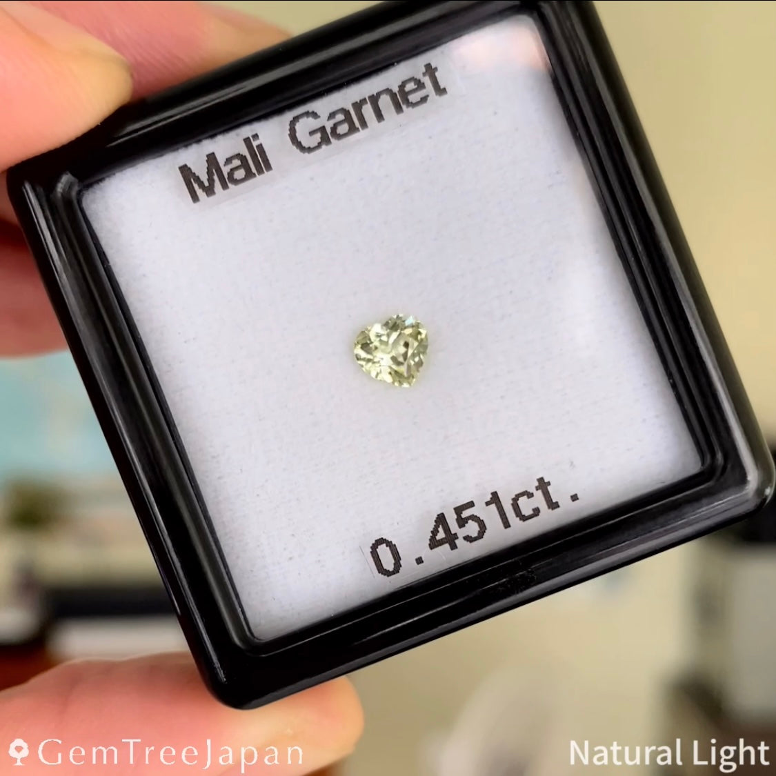 【Trial Price】Mali Garnet 0.451ct / Heart Shape