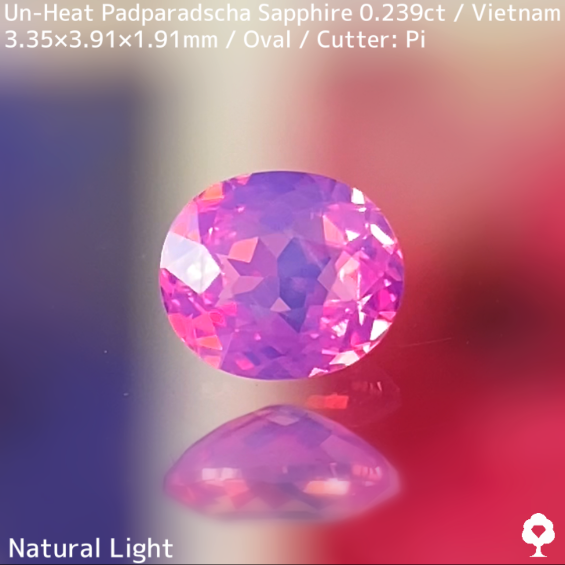 Un-Heat Padparadscha Sapphire 0.239ct / Vietnam