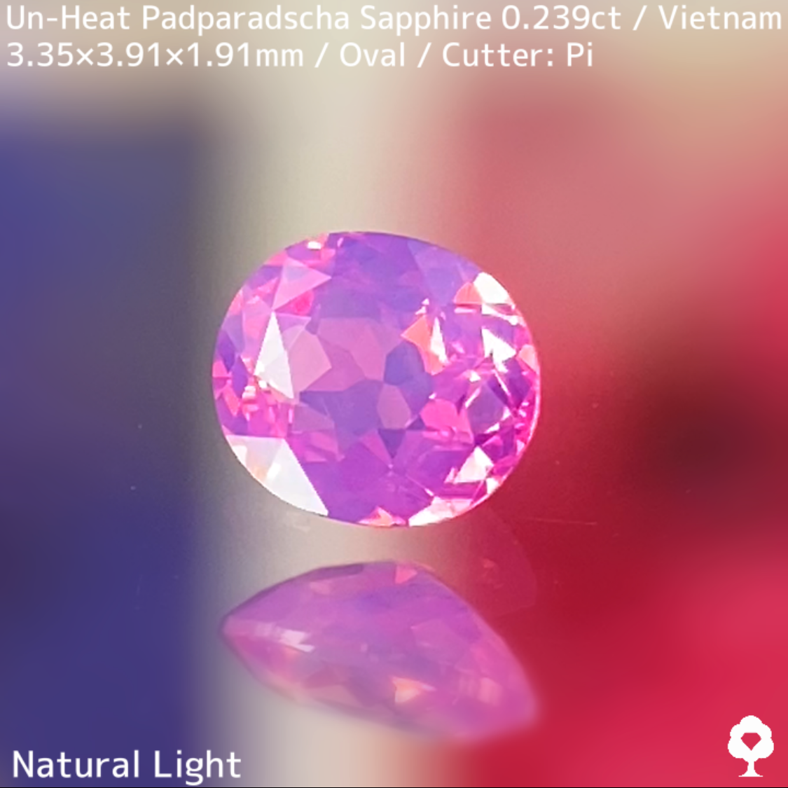 Un-Heat Padparadscha Sapphire 0.239ct / Vietnam