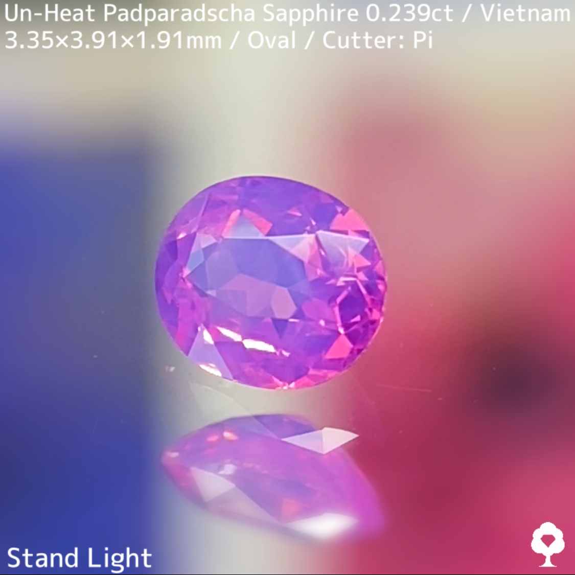 Un-Heat Padparadscha Sapphire 0.239ct / Vietnam