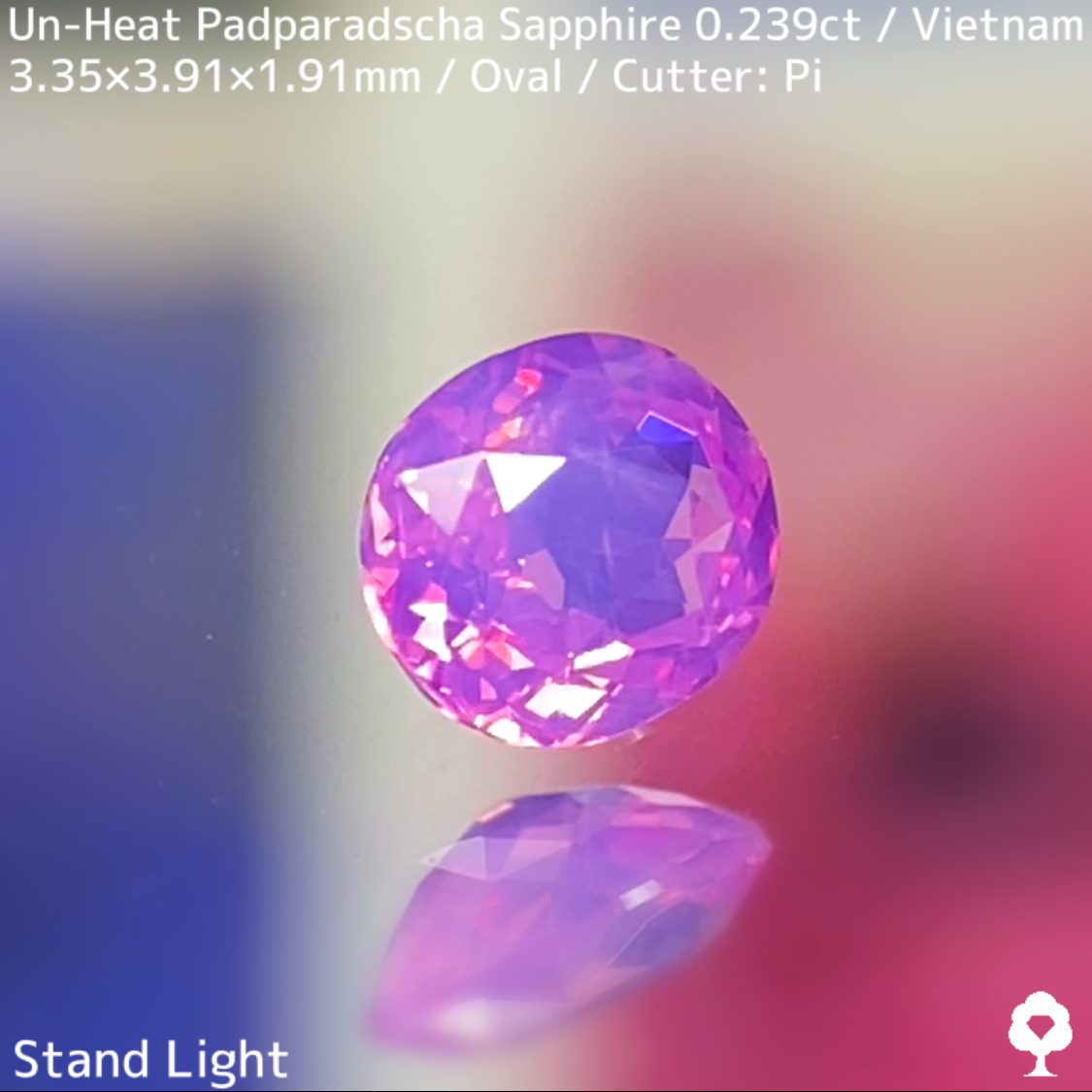 Un-Heat Padparadscha Sapphire 0.239ct / Vietnam