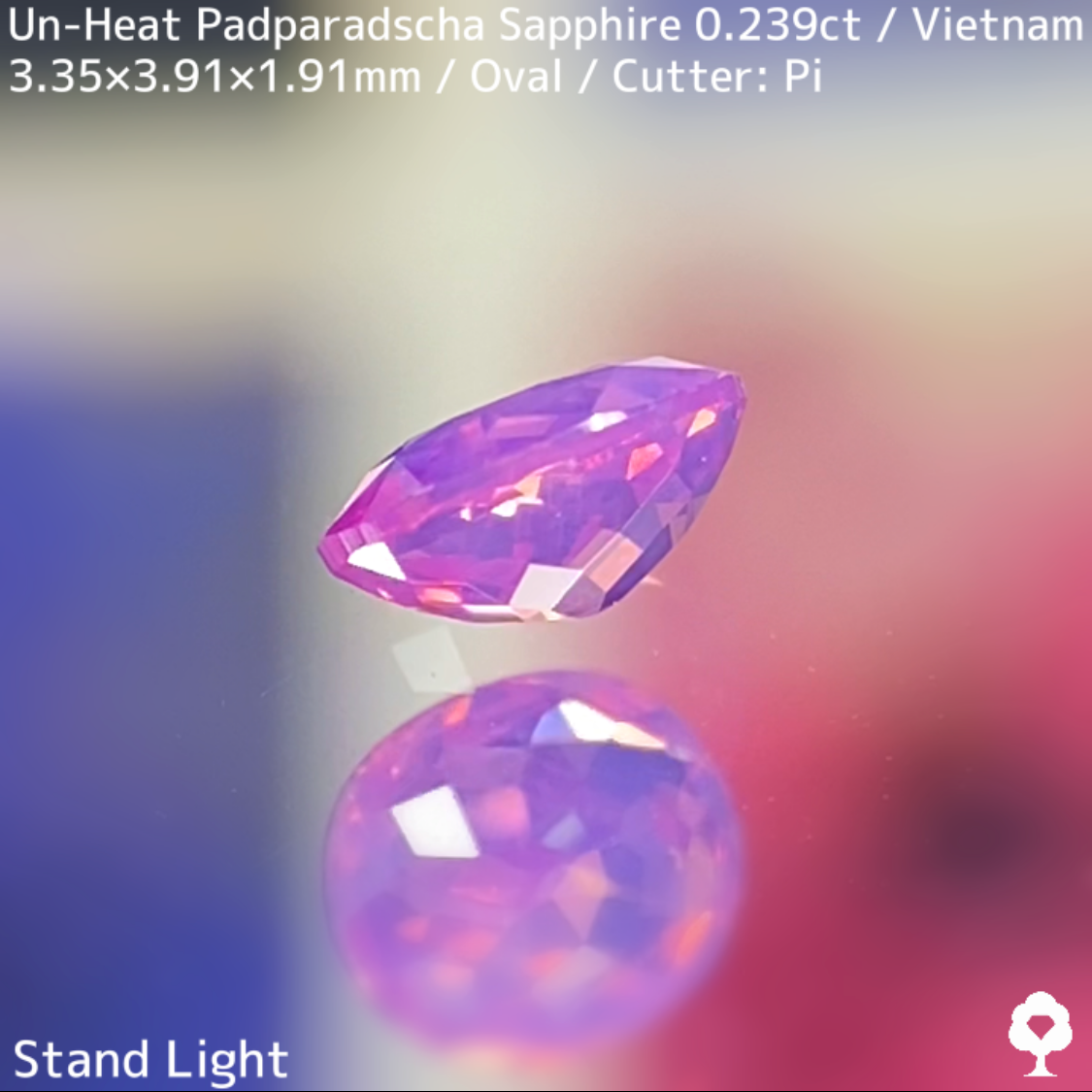 Un-Heat Padparadscha Sapphire 0.239ct / Vietnam