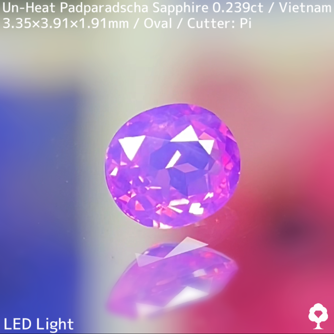 Un-Heat Padparadscha Sapphire 0.239ct / Vietnam