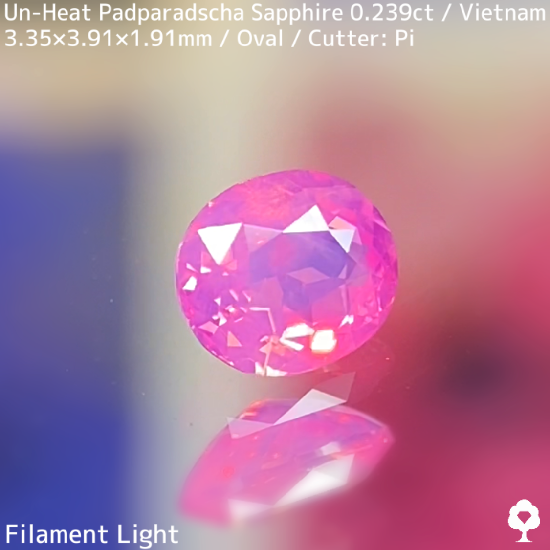 Un-Heat Padparadscha Sapphire 0.239ct / Vietnam